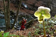 Alle spettacolari Sorgenti dell’Enna da Vedeseta di Val Taleggio l’8 aprile 2019- FOTOGALLERY